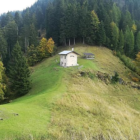 B&B Ai Pini Tiarno di Sopra Eksteriør billede