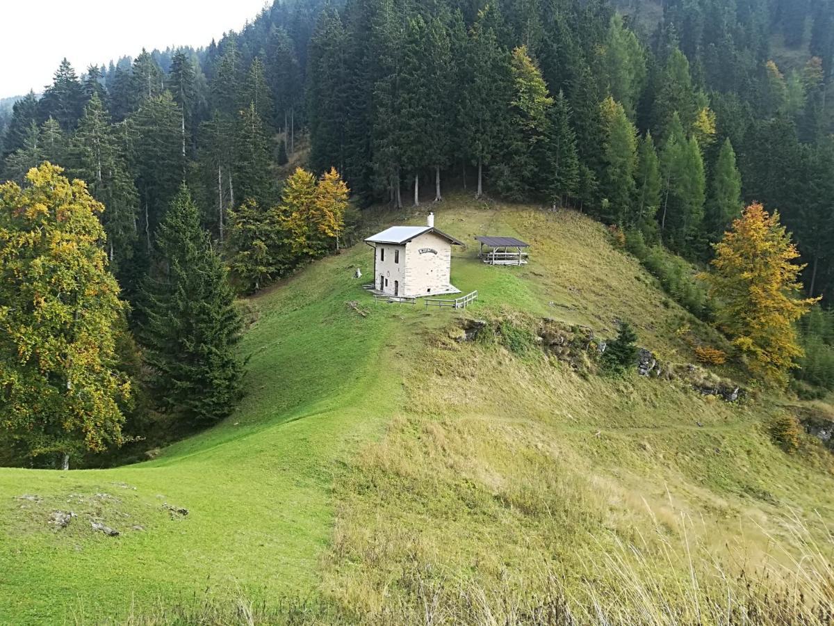 B&B Ai Pini Tiarno di Sopra Eksteriør billede