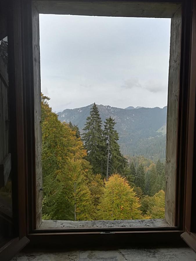 B&B Ai Pini Tiarno di Sopra Eksteriør billede