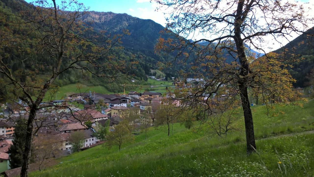 B&B Ai Pini Tiarno di Sopra Eksteriør billede